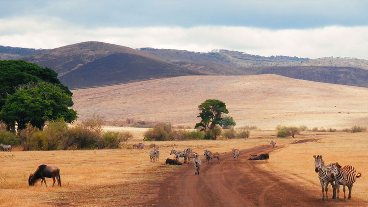 Paysage 1